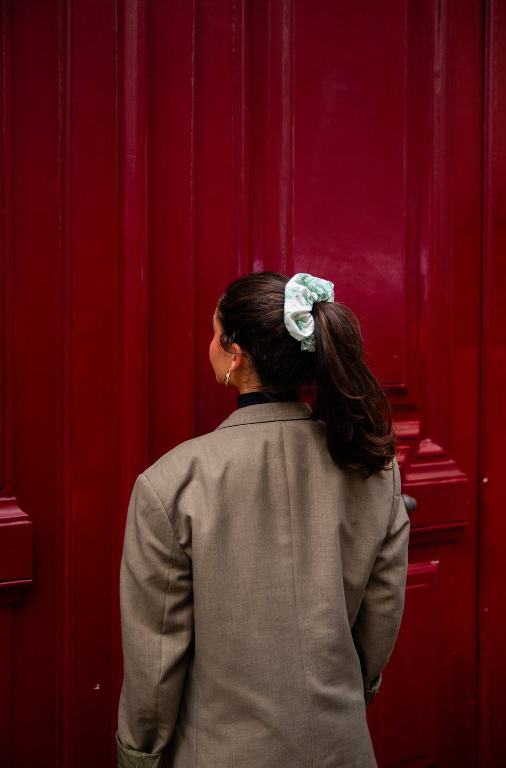 Fichouchou Toile de Jouy